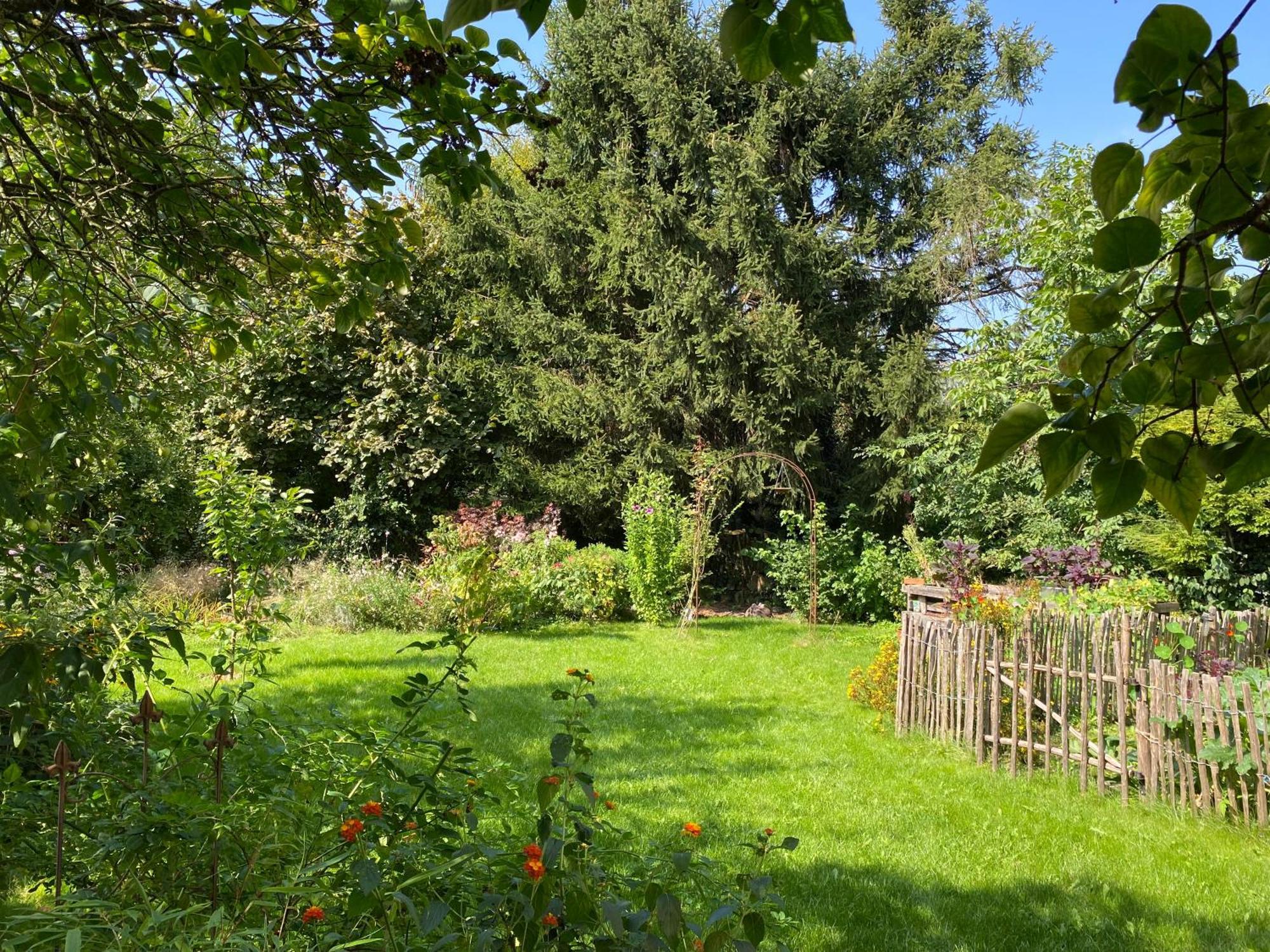 Robins Nest Apartman Detmold Kültér fotó